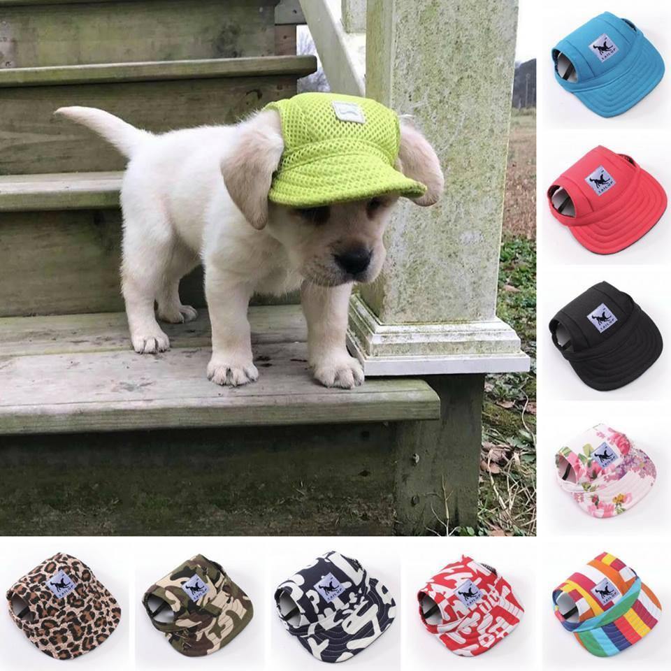 Baseball Cap For Dogs [FREE] -