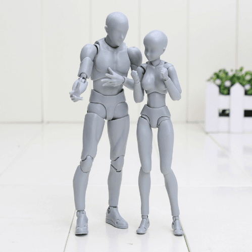 BODY KUN / BODY CHAN Figure Drawing Models -