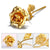 Gold Foil Plated Rose -