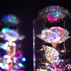 Enchanted Rose in Glass Dome - 14:29