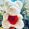 Flower Rose Bear For Her - 14:200000195;5:100014066