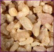 Frankincense Essential Oil -
