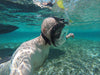 Full Face Snorkel Diving Mask -