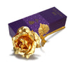 Gold Foil Plated Rose