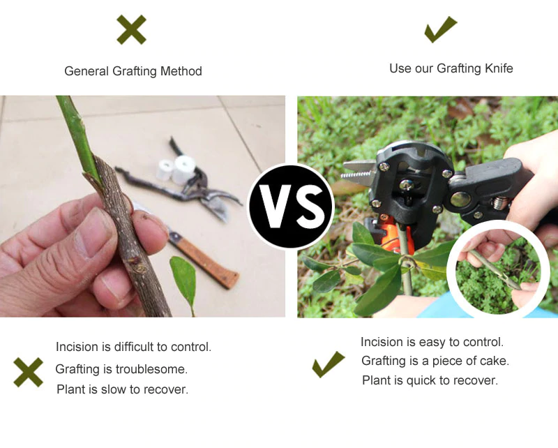 Professional Gardening Hand Pruning Shears - 14:193