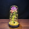 Enchanted Rose in Glass Dome - 14:200006151