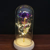 Enchanted Rose in Glass Dome - 14:100018786